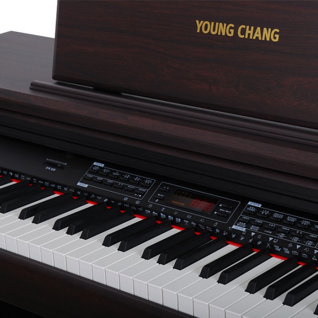 영창 디지털피아노 KWP-20 (로즈우드)전자피아노