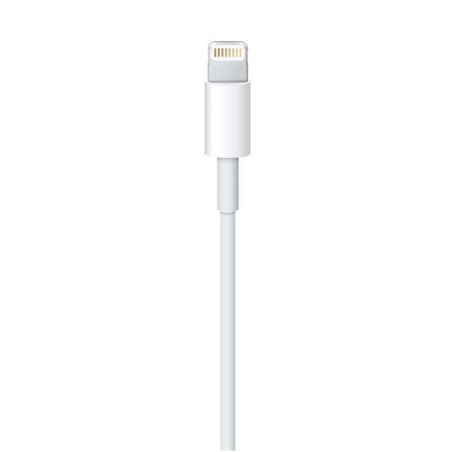 Apple 정품 라이트닝 to USB 케이블 (2M)