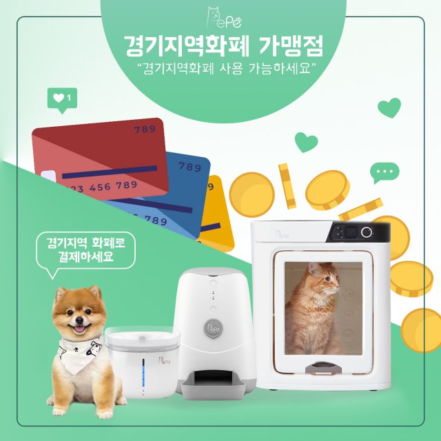 [사은품증정] 페페 강아지 고양이 자동급식기