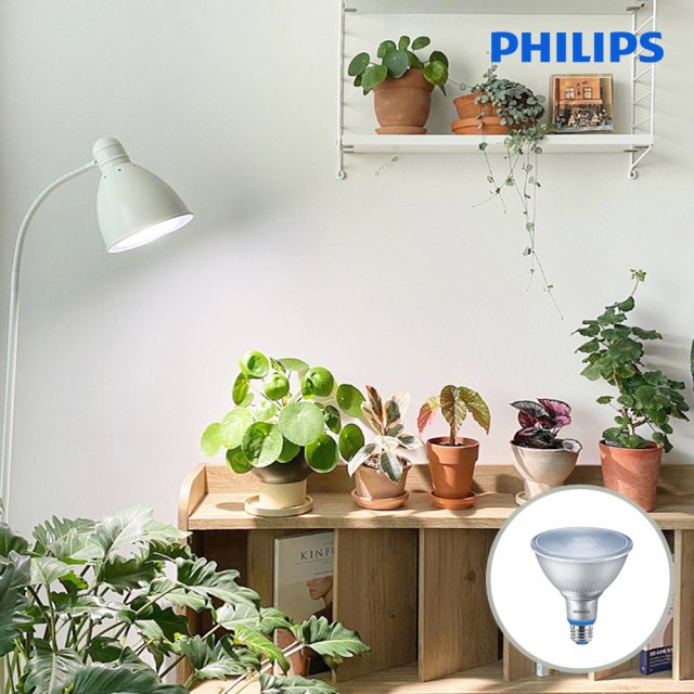 필립스 PAR38 LED 식물조명 식물등 생장등 테라리움 다육이 