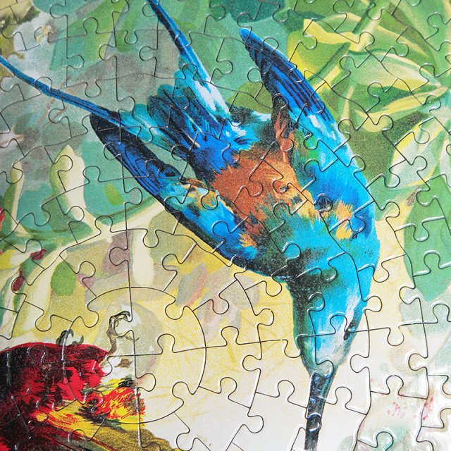 귀여운 벌새들 500피스 라운드 퍼즐