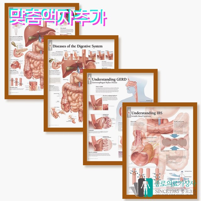 3B Scientific 천식 인체해부차트 VR1328 Asthma 천식차트 병원액자_액자추가