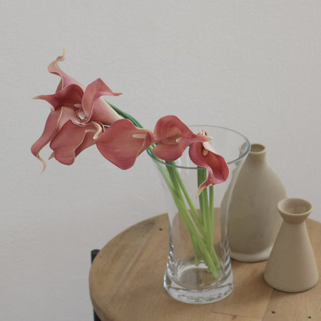 소피 글라스 화병 (꽃병/화기) 투명