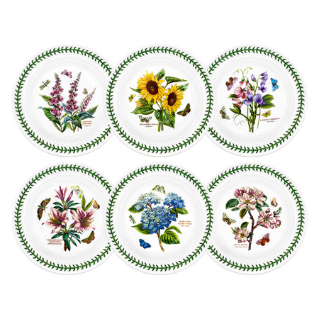 보타닉가든 대접시 1p (무늬랜덤발송)