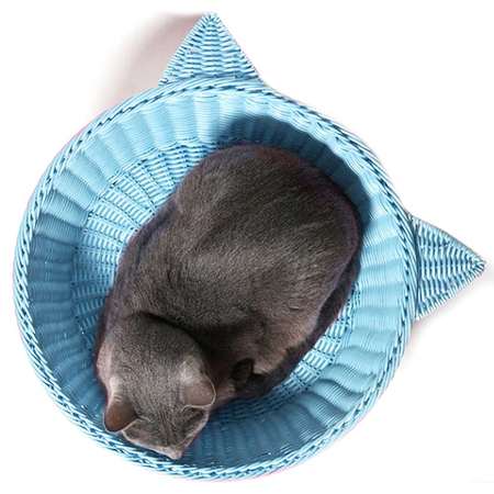 라탄 냥이 바구니 L(블루)-고양이 하우스 방석 집 라탄 냥이 바구니 L-블루