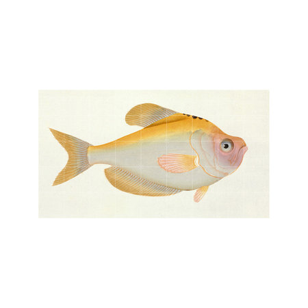 XXXXX사용안함XXXXXYellow Fish - small 100*60(cm)