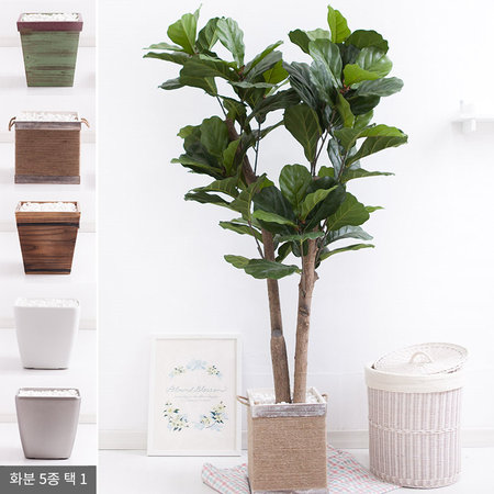 떡갈고무나무화분set 230cm K_M [조화] 사방형:빈티지마야우드화분(28cm) 5-5