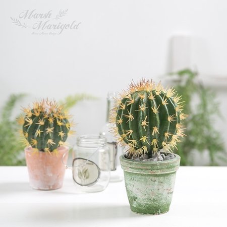 XX판매종료XX사용안함XX 조화 금호 선인장_28CM FMNA715880 XX판매종료XX사용안함XX