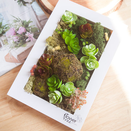 이끼돌스칸디아액자화분set 30cm_P