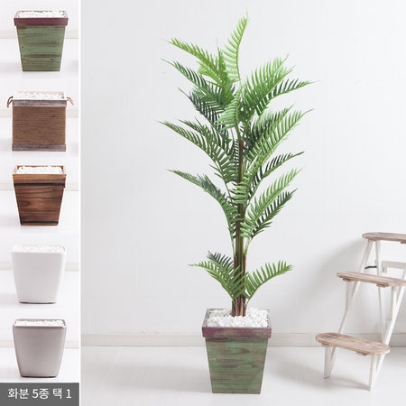 펀아레카트리화분set 165cm KO (5-5) 조화 FREOFT A타입-3