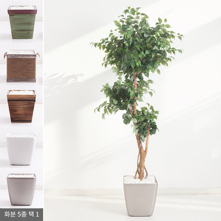 라인벤자민나무화분set 195cm KO (5-5) 조화 FREOFT A타입-3