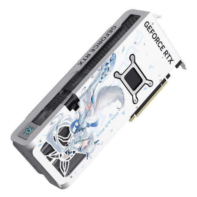 롯데하이마트 | MANLI 지포스 RTX 5080 Polar Fox V2 D7 OC 16GB인텍앤